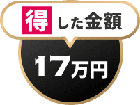 得した金額17万円